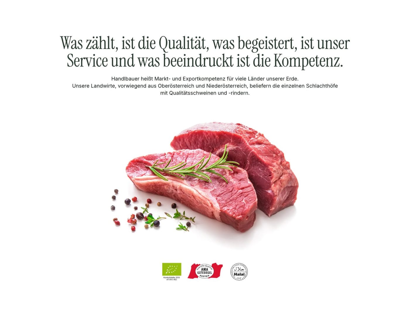 Handlbauer